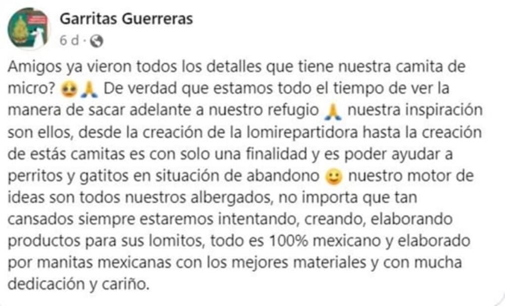 “Súbale, súbale”, las “micro-camas” para perritos que son virales en TikTok