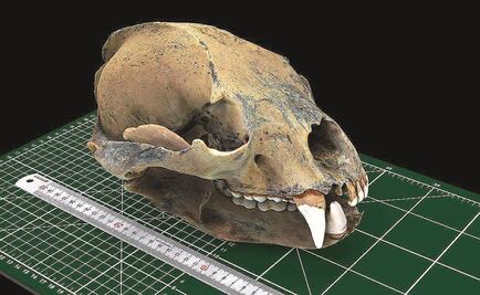 Tecnología del siglo XXI llega a la arqueología