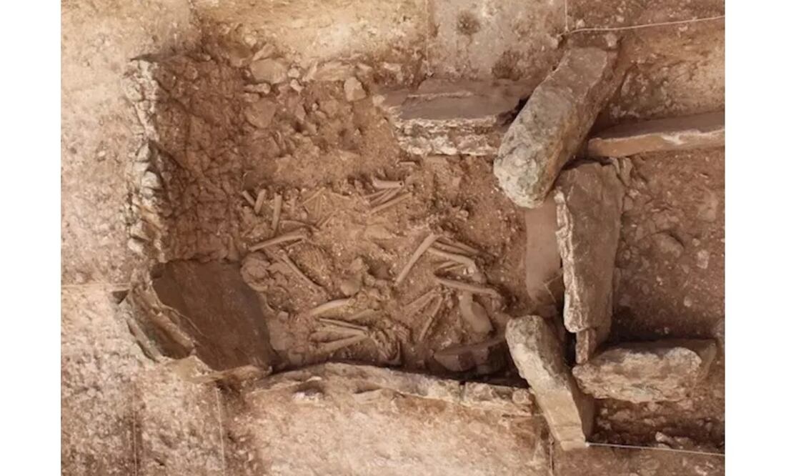 Foto: Universidad de Granada vía Europa Press