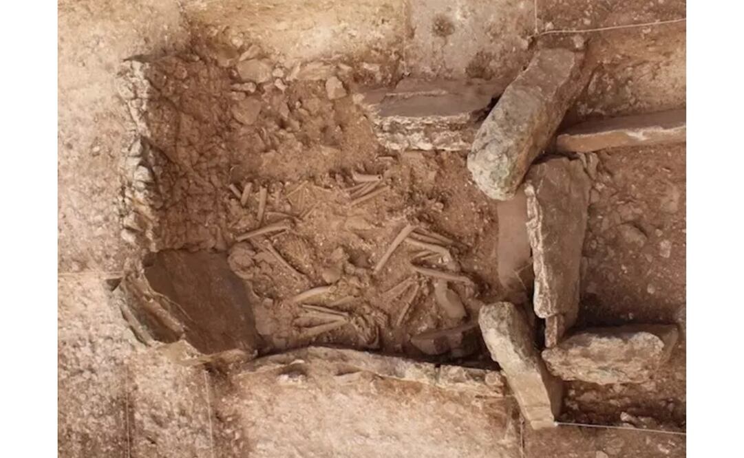 Foto: Universidad de Granada vía Europa Press