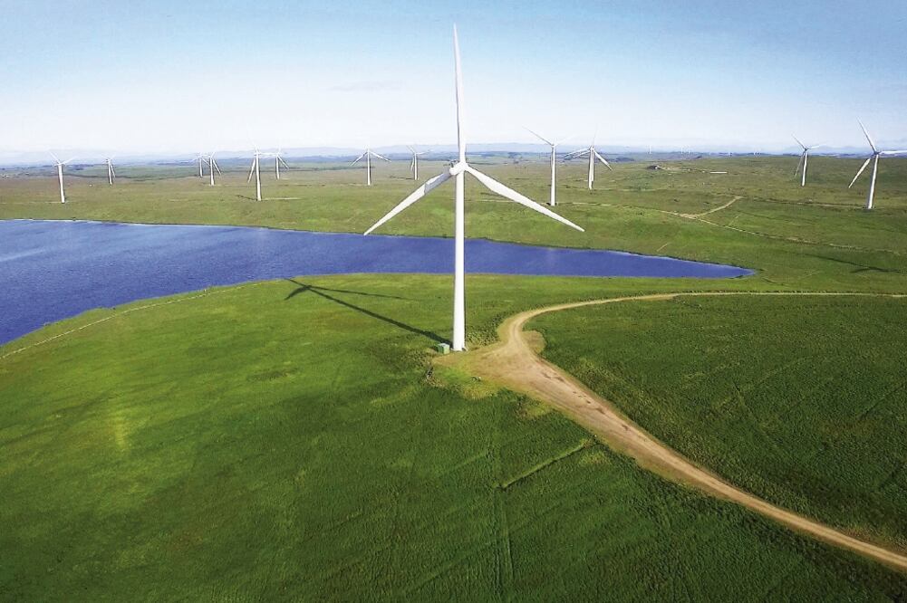 El proyecto de Iberdrola. Foto: Archivo EL UNIVERSAL