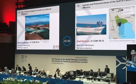 Reconoce UNESCO esfuerzo de México a favor de vaquita