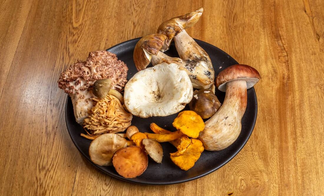 ¿Sabías que Agosto es conocido como "hongosto"? Foto: Esteban Torreblanca / El Universal.