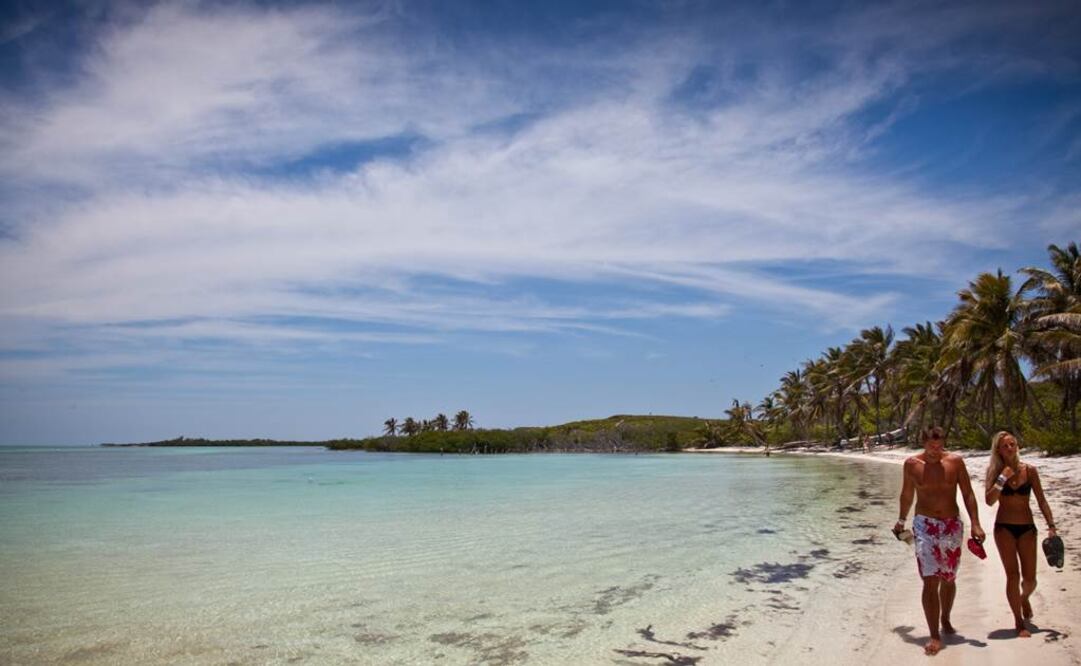 Fotp: Archivo EL UNIVERSAL