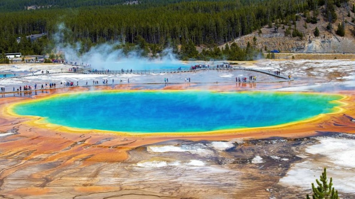 Los manantiales termales de Yellowstone albergan microorganismos capaces de vivir en condiciones extremas. Foto: Getty Images vía BBC