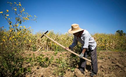 Evalúan estadísticamente por primera vez a Tribunales Agrarios
