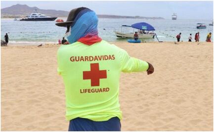 Cierran playa de Los Cabos, BCS por presencia de tiburón toro; refuerzan seguridad en la zona