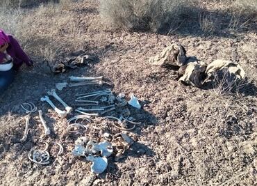 “Falta el cráneo, quiero a mi hijo completo”, cuando una madre buscadora finalmente encuentra