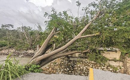 Puentes, inservibles a 4 meses del huracán