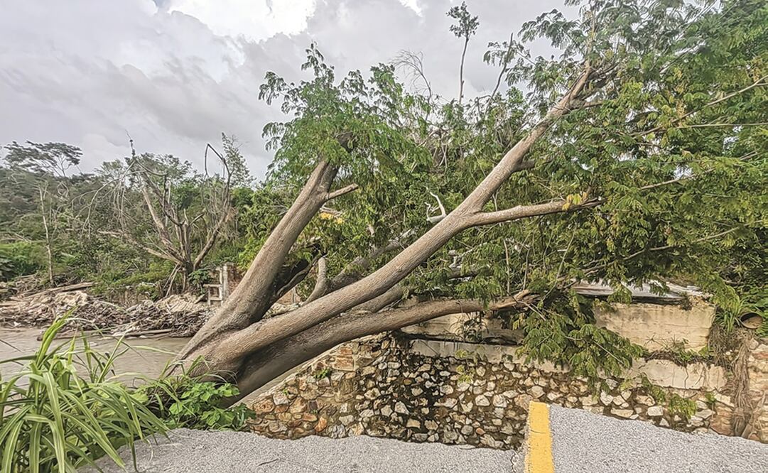 De los 26 puentes afectados en la región Costa, el conocido como Azufre de San José Chacalapa sigue fracturado por la mitad desde el mes de mayo. Foto: Roselia Chaca /EL UNIVERSAL 