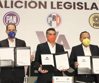 Buscan parar “caprichos presidenciales” 