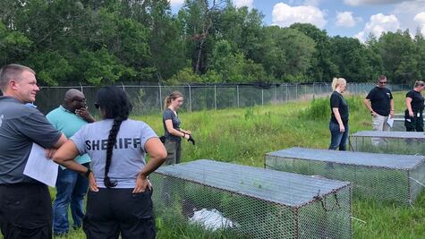 Qué son las "granjas de cadáveres" donde los cuerpos humanos se descomponen a la intemperie