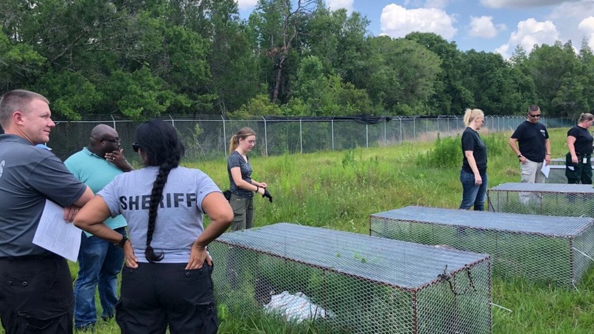 Los cementerios forenses prestan servicios a las autoridades que intentan esclarecer crímenes (Foto: IFAAS/USF)