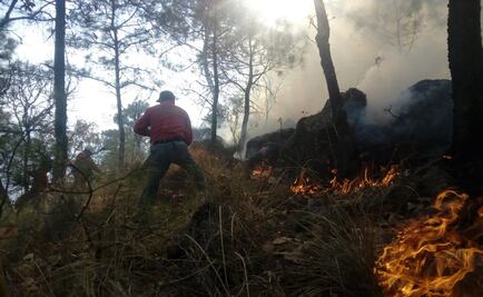 Suspenden clases en Zapopan por incendio