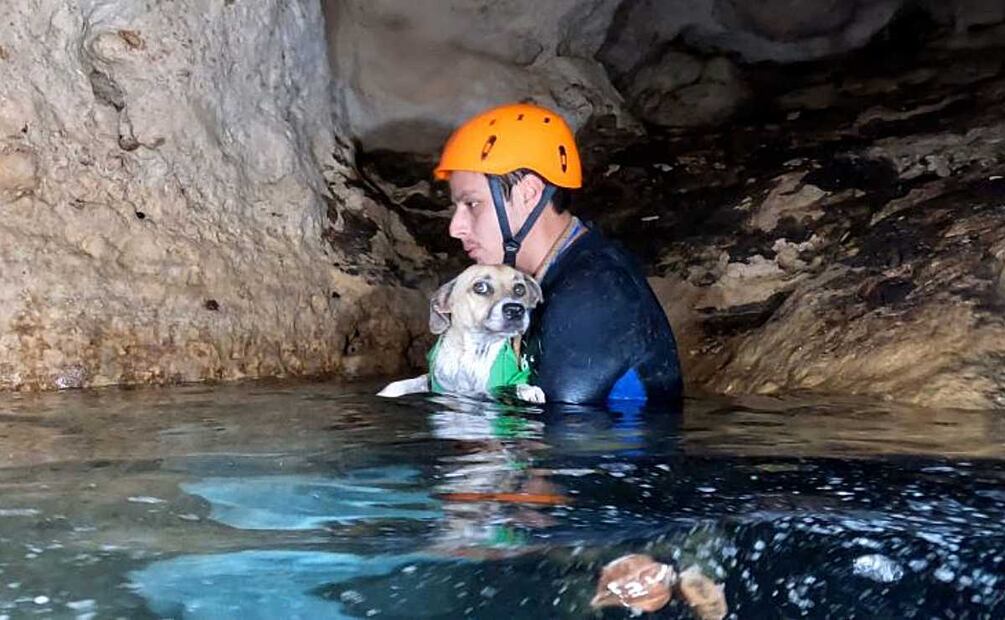 La perrita llamada Shakira permaneció varios días en un espacio de escasos dos metros de diámetro rodeado de agua e infestado de murciélagos. Foto: Especial