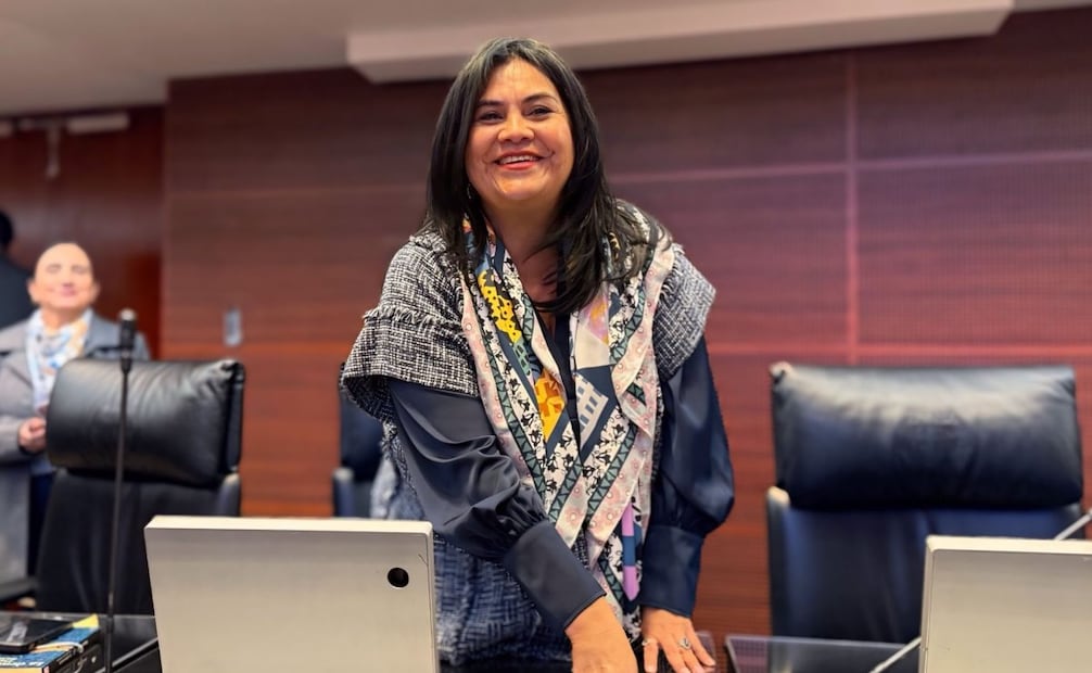 Guadalupe Chavira de la Rosa, senadora de Morena. Foto: Especial