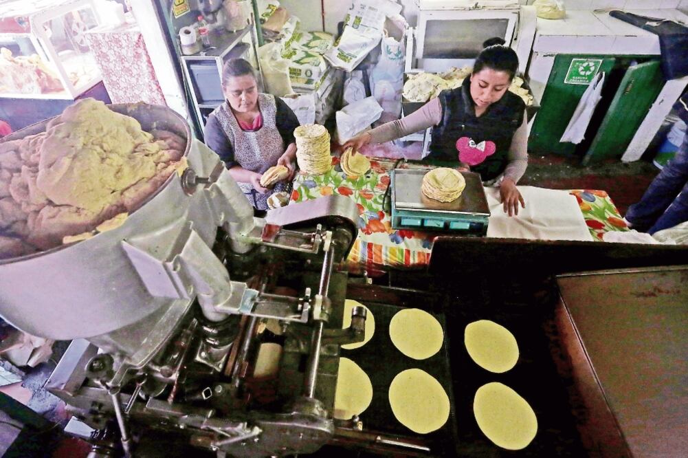 A pesar de los incrementos en otros productos, el Grupo Consultor de Mercados Agrícolas considera que el precio del kilo de tortilla no debe aumentar, debido a que la tonelada del maíz se ha mantenido estable en 3 mil 450 pesos (DANIEL BECERRIL. REUTERS)