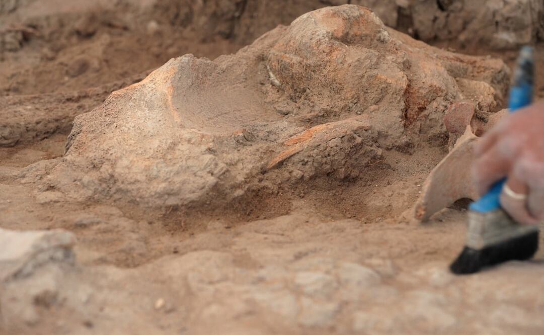 Imagen ilustrativa. Foto: Adriana Hernández/ Archivo El Universal 