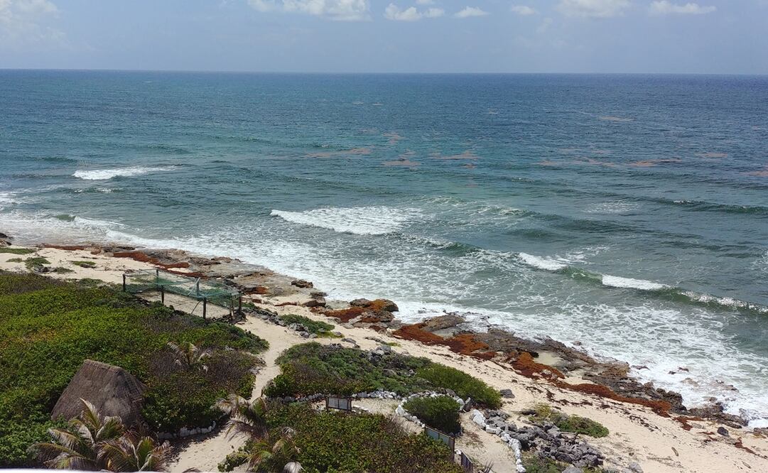 Parque Nacional Arrecifes de Cozumel. Foto: Adriana Varillas / EL UNIVERSAL