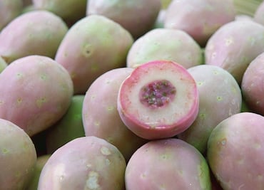 Mexican students build seed remover machine to help farmers