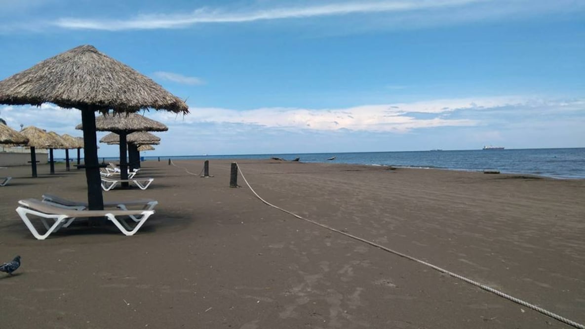 Foto: Sandra Barrera. Unsplash