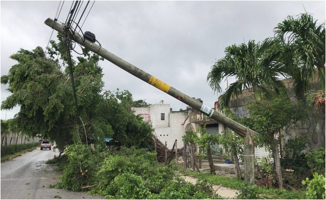 Foto: Diego Simón / EL UNIVERSAL