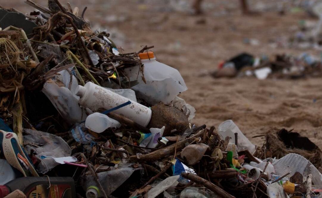 La contaminación por plástico representa una grave amenaza. Foto: Archivo EL UNIVERSAL