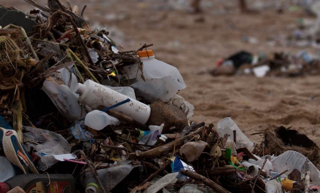 La contaminación por plástico representa una grave amenaza. Foto: Archivo EL UNIVERSAL