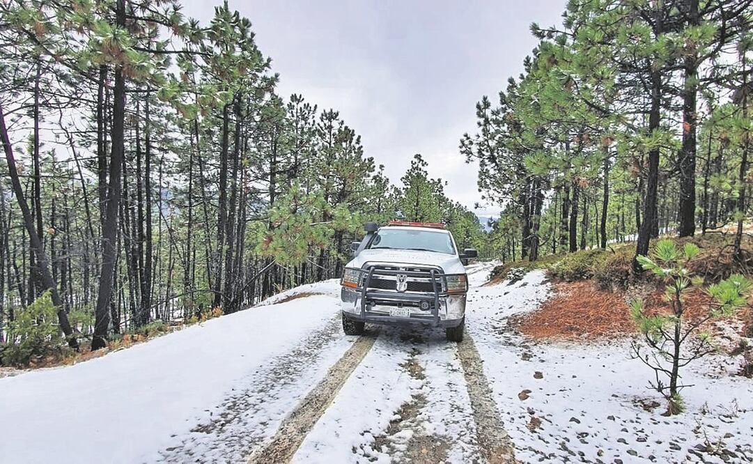 Las zonas montañosas de Nuevo León se tiñeron de blanco; se espera la llegada del frente frío 24. Foto: Especial.