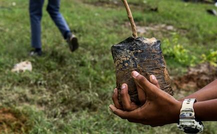 Comer mejor para salvar al planeta, pide la ONU a la humanidad
