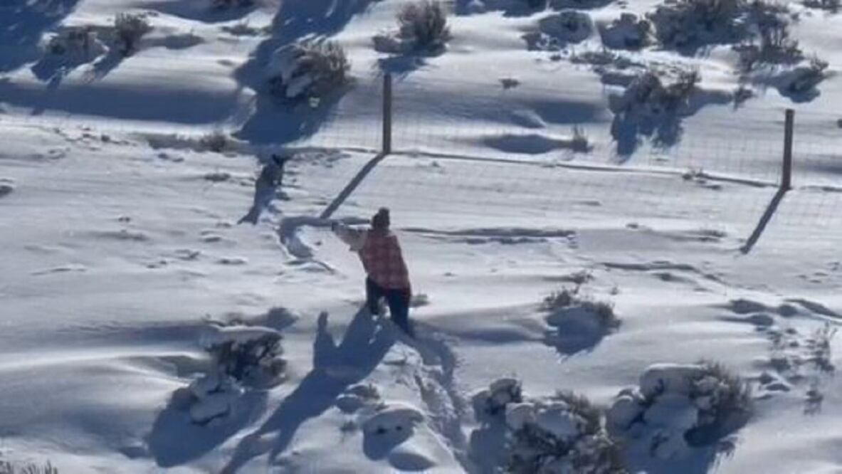 Yasmin Condos, residente de Evanston, Wyoming, rescató al perrito que luego dio a su dueña. Foto: Tomada de video