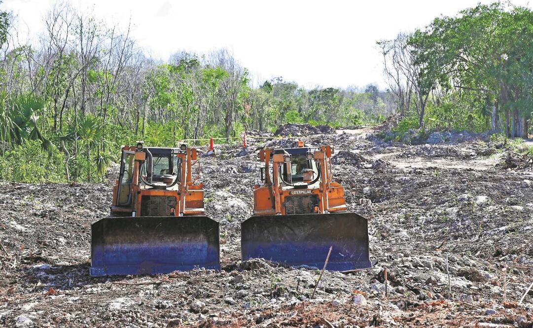 Los quejosos reclaman la devastación de la selva. Foto: Archivo/EL UNIVERSAL.