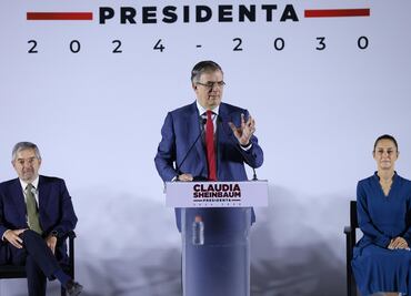 Revisar T-MEC, tarea primordial para Ebrard: IP