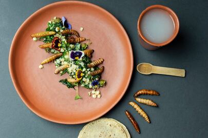 Disfruta la temporada de bichos en el centro de Coyoacán