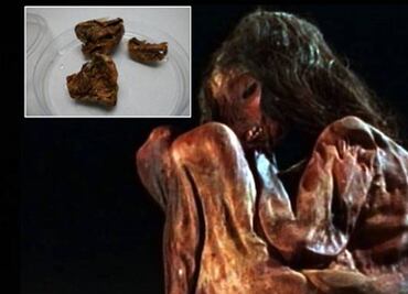 Logran descifrar genoma de una momia de niño inca