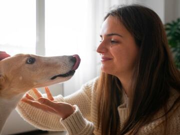 La ciencia revela cómo debes hablarle a tu perro para que te entienda mejor