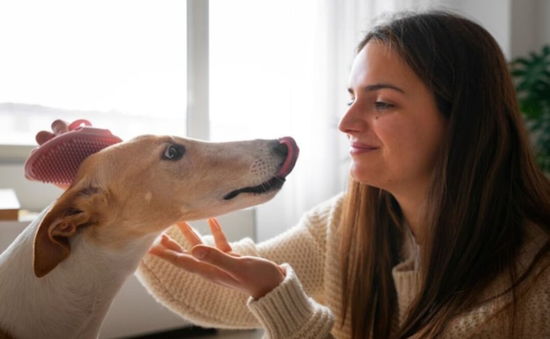 La clave de la comunicación entre perros y humanos. Fuente: Freepik