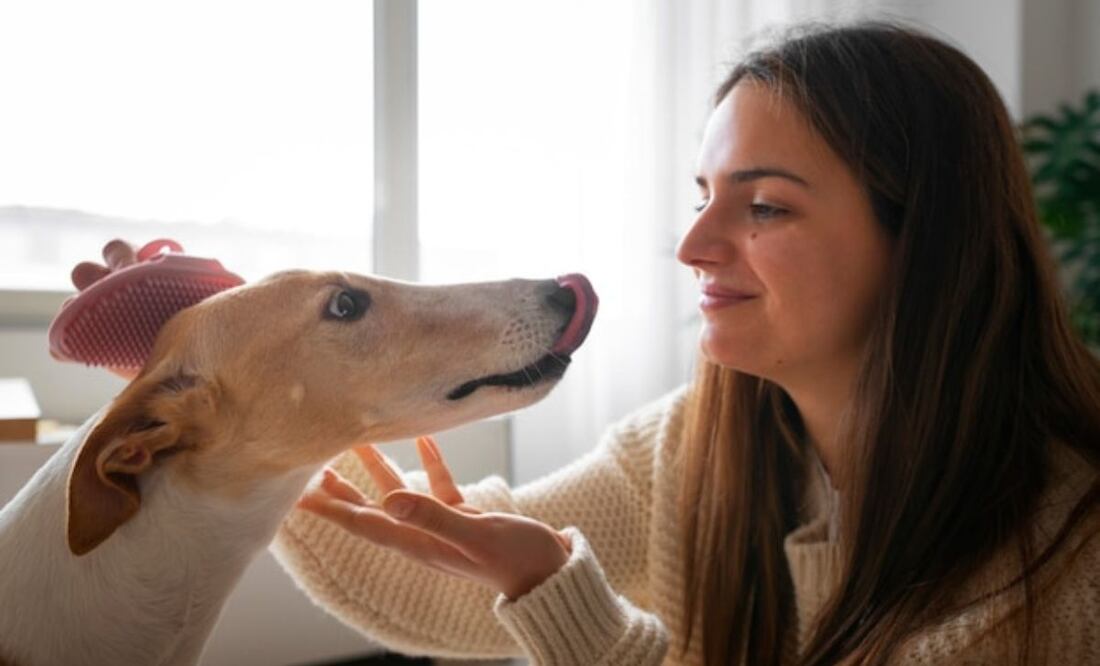 La clave de la comunicación entre perros y humanos. Fuente: Freepik