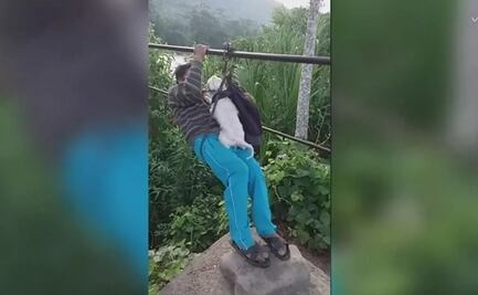 VIDEO. Hombre se lanza de tirolesa junto a su perrito para cruzar un río 
