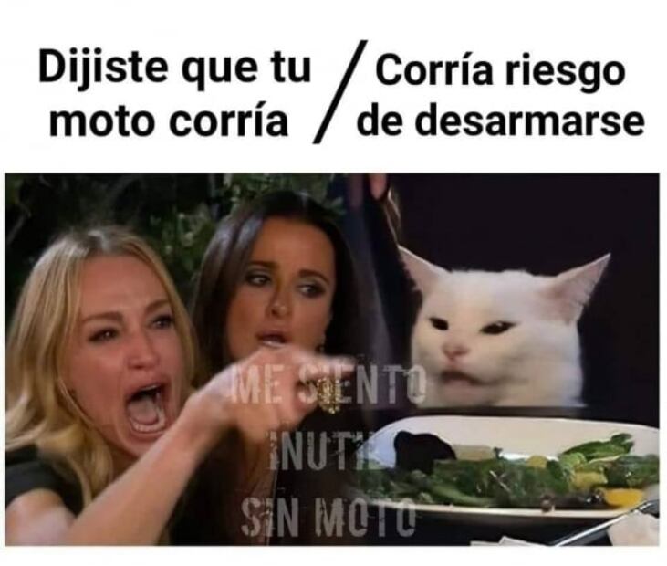 Los mejores memes del gato