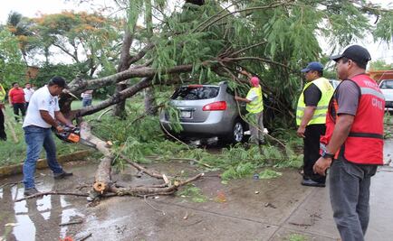 Tormenta "Earl" deja afectaciones en 5 municipios de Tabasco