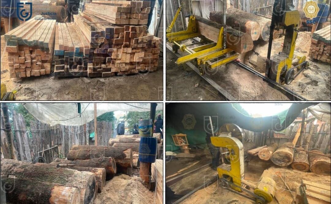 Los imputados fueron detenidos durante cateos realizados en Lomas de Tepemecatl, donde fueron desmantelados dos posibles centros de almacenamiento y transformación de materia prima forestal. Foto: Especial