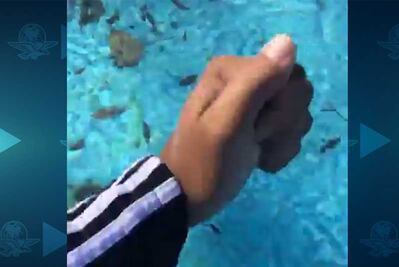 Alberca se congela por ola de frío en Florida