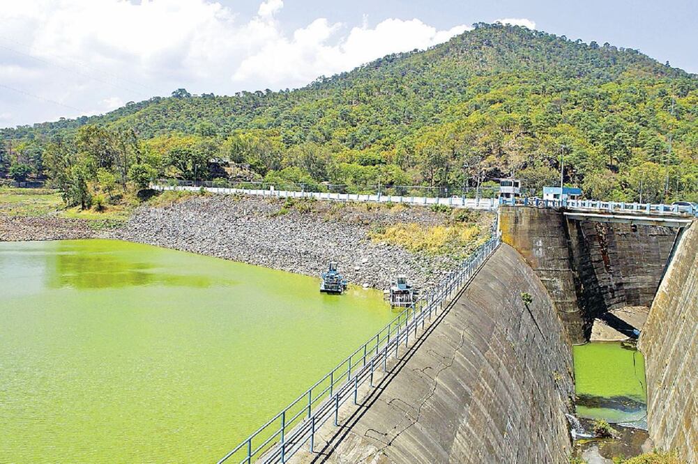 Foto: Archivo EL UNIVERSAL