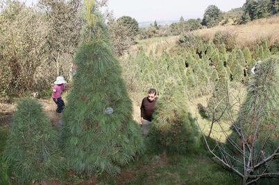 Comuneros rechazan centro canino 