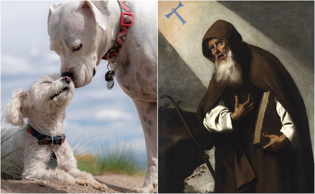 Día Mundial de Bendecir a los Animales coincide con la festividad de San Antonio Abad. Foto: Pixabay y ESPECIAL