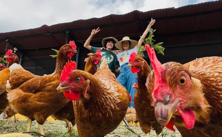 Descubre dónde queda "La granja del borrego”, del influencer Carlos Alberto