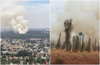 Se incendia Parque Ecológico de Xochimilco; bomberos trabajan en la zona: FOTOS
