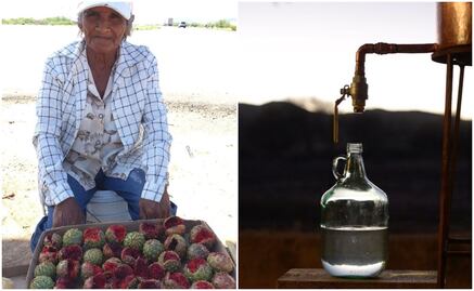 Conoce el Suaqui, un destilado de pitaya silvestre