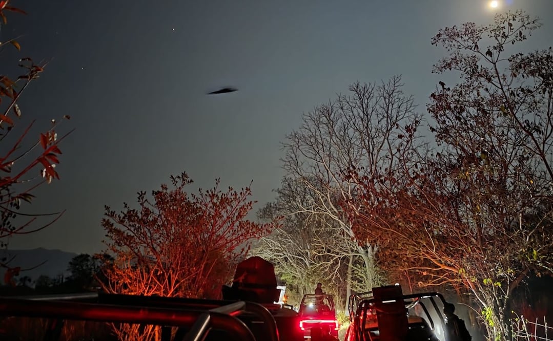 En un despliegue de la Secretaría de Seguridad del Pueblo y de la Fiscalía General del Estado fueron capturados seis hombres y una mujer. Foto: Especial